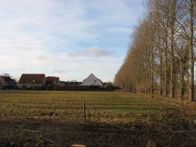 IMG_3916.JPG