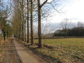IMG_3917.JPG