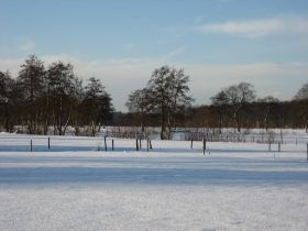 sneeuw in december 2009 068.JPG
