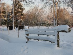 sneeuw in december 2009 065.JPG