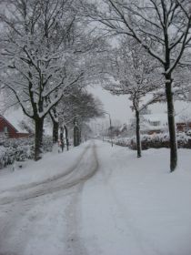 sneeuw in december 2009 021.JPG